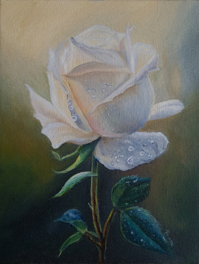 76-rose-white.jpg