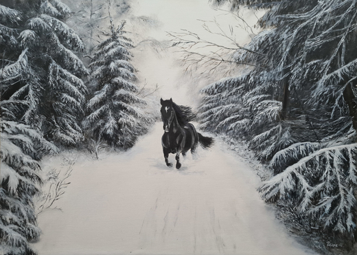 79-black-stallion-in-winter-wonderland-70x50.jpg