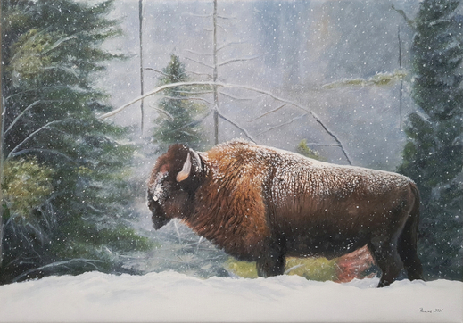 bizon-small.jpg