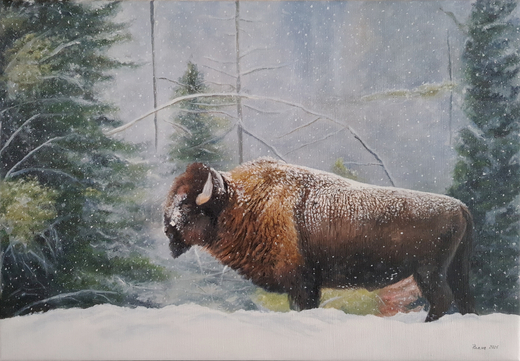 bizoninthestorm.jpg