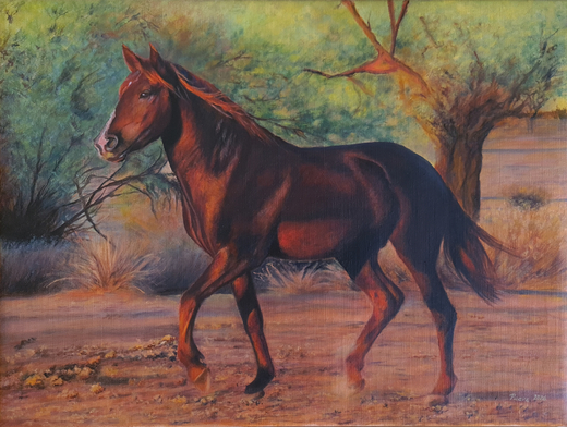 horse-salt-river.jpg
