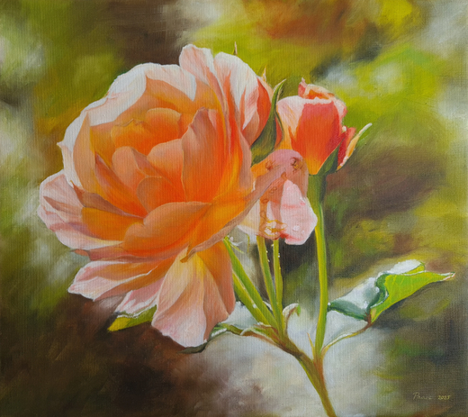 rose-in-light-50x45.jpg