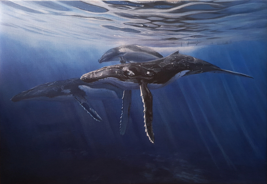 whale.jpg